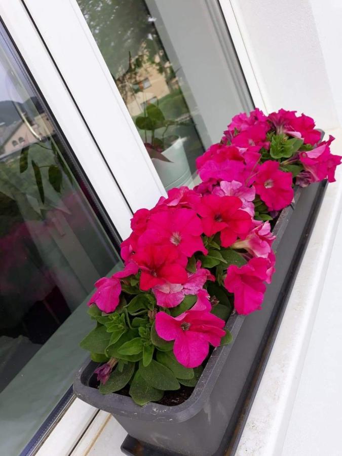 Mistel Apartman Bodensdorf Ngoại thất bức ảnh